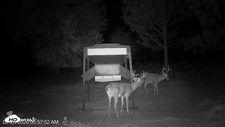 Leesburg Georgia Live Deer Feeder Webcam - Sep 25, 2026, 5:57am EDT