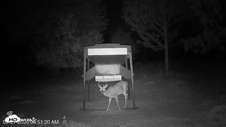 Leesburg Georgia Live Deer Feeder Webcam - Sep 27, 2026, 4:51am EDT