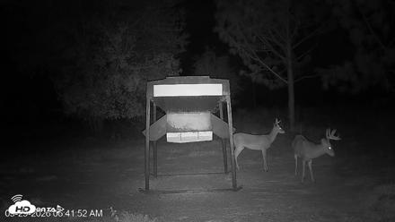 Leesburg Georgia Live Deer Feeder Webcam - Sep 29, 2026, 6:41am EDT