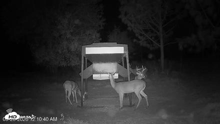 Leesburg Georgia Live Deer Feeder Webcam - Sep 28, 2026, 12:10am EDT
