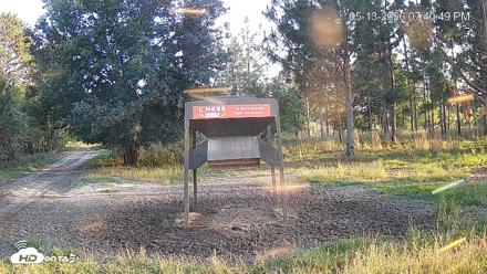 Leesburg Georgia Live Deer Feeder Webcam - May 13, 2026, 7:41pm EDT