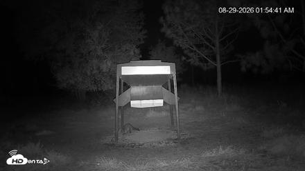 Leesburg Georgia Live Deer Feeder Webcam - Aug 29, 2026, 1:54am EDT