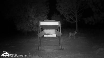 Leesburg Georgia Live Deer Feeder Webcam - Sep 24, 2026, 9:27pm EDT
