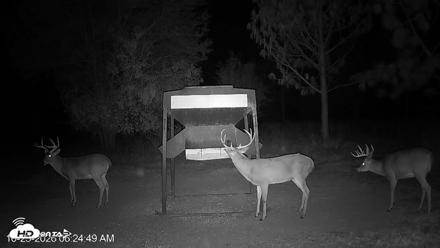 Leesburg Georgia Live Deer Feeder Webcam - Oct 23, 2026, 6:25am EDT