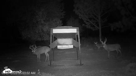 Leesburg Georgia Live Deer Feeder Webcam - Sep 27, 2026, 5:03am EDT