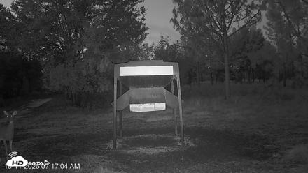 Leesburg Georgia Live Deer Feeder Webcam - Oct 11, 2026, 7:16am EDT
