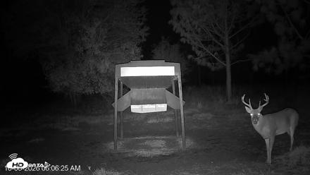 Leesburg Georgia Live Deer Feeder Webcam - Oct 6, 2026, 6:06am EDT