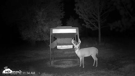 Leesburg Georgia Live Deer Feeder Webcam - Oct 7, 2026, 12:11am EDT