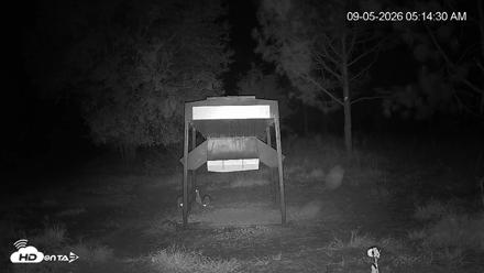 Leesburg Georgia Live Deer Feeder Webcam - Sep 5, 2026, 5:15am EDT