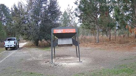 Leesburg Georgia Live Deer Feeder Webcam - Jan 3, 2026, 8:19am EST