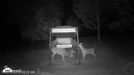 Leesburg Georgia Live Deer Feeder Webcam - Sep 27, 2026, 5:02am EDT