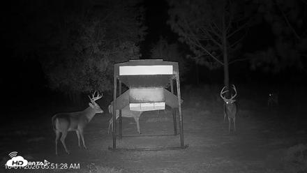 Leesburg Georgia Live Deer Feeder Webcam - Oct 1, 2026, 5:51am EDT