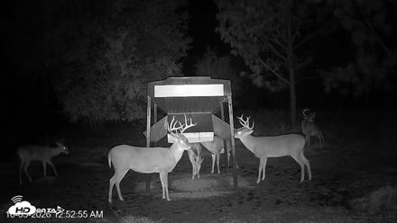 Leesburg Georgia Live Deer Feeder Webcam - Oct 5, 2026, 12:52am EDT