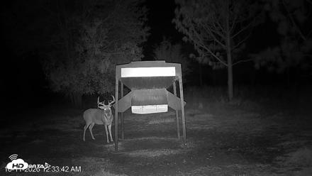 Leesburg Georgia Live Deer Feeder Webcam - Oct 11, 2026, 12:33am EDT