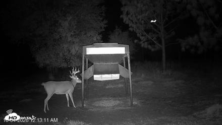 Leesburg Georgia Live Deer Feeder Webcam - Oct 4, 2026, 12:13am EDT