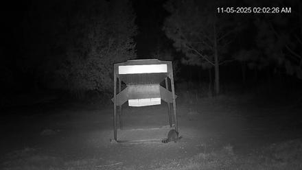 Leesburg Georgia Live Deer Feeder Webcam - Nov 5, 2025, 2:02am EST