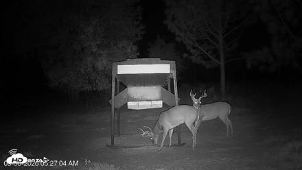 Leesburg Georgia Live Deer Feeder Webcam - Sep 30, 2026, 5:26am EDT