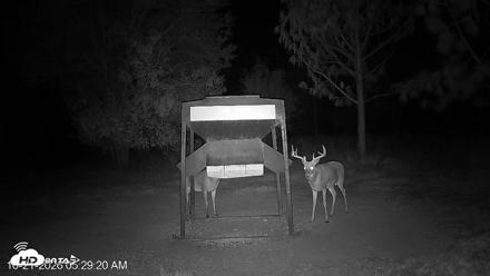 Leesburg Georgia Live Deer Feeder Webcam - Oct 21, 2026, 5:29am EDT