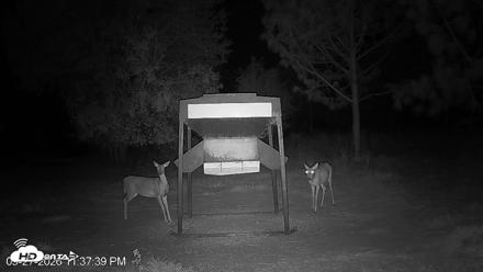 Leesburg Georgia Live Deer Feeder Webcam - Sep 27, 2026, 11:37pm EDT