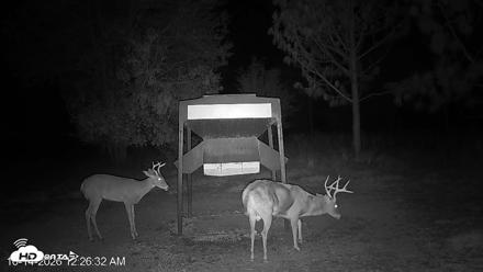 Leesburg Georgia Live Deer Feeder Webcam - Oct 14, 2026, 12:27am EDT