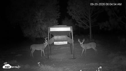 Leesburg Georgia Live Deer Feeder Webcam - Sep 20, 2026, 6:05am EDT