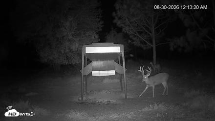 Leesburg Georgia Live Deer Feeder Webcam - Aug 30, 2026, 12:13am EDT