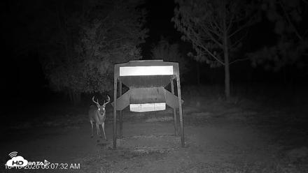 Leesburg Georgia Live Deer Feeder Webcam - Oct 16, 2026, 6:13am EDT