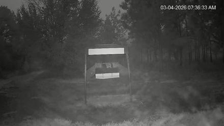 Leesburg Georgia Live Deer Feeder Webcam - Mar 4, 2026, 6:37am EST
