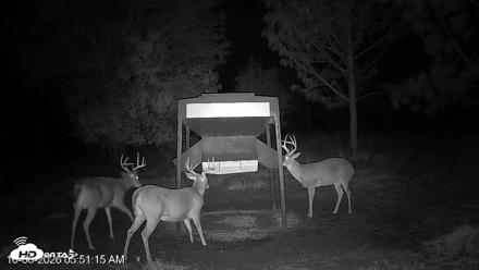 Leesburg Georgia Live Deer Feeder Webcam - Oct 6, 2026, 5:50am EDT