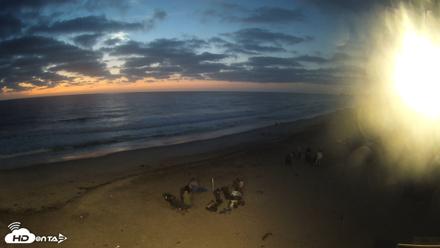 17th St. Del Mar Beach - 4K NW View Live Cam - Sep 19, 2026, 7:17pm PDT
