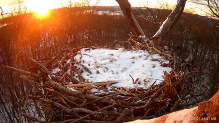 Hanover Eagles Live Cam - Jan 19, 2026, 7:32am EST