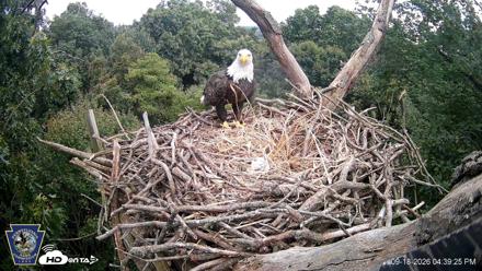 Hanover Eagles Live Cam - Sep 18, 2026, 4:40pm EDT