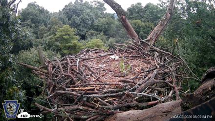 Hanover Eagles Live Cam - Aug 2, 2026, 8:08pm EDT