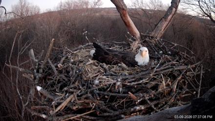 Hanover Eagles Live Cam - Mar 9, 2026, 7:37pm EDT