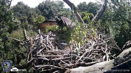 Hanover Eagles Live Cam - Aug 27, 2026, 1:02pm EDT