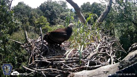 Hanover Eagles Live Cam - Aug 27, 2026, 12:49pm EDT