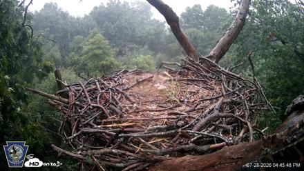 Hanover Eagles Live Cam - Jul 28, 2026, 4:47pm EDT