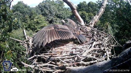 Hanover Eagles Live Cam - Jul 29, 2026, 3:43pm EDT