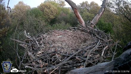 Hanover Eagles Live Cam - Apr 23, 2026, 8:13pm EDT