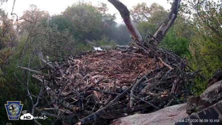 Hanover Eagles Live Cam - Apr 27, 2026, 6:09am EDT