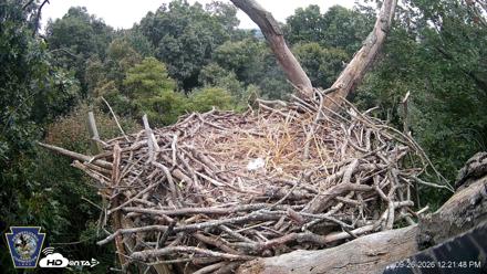 Hanover Eagles Live Cam - Sep 26, 2026, 12:21pm EDT