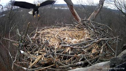Hanover Eagles Live Cam - Mar 8, 2026, 1:00pm EDT