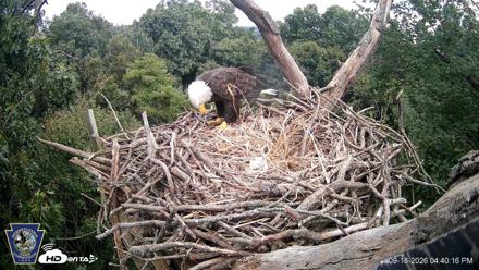Hanover Eagles Live Cam - Sep 18, 2026, 4:40pm EDT
