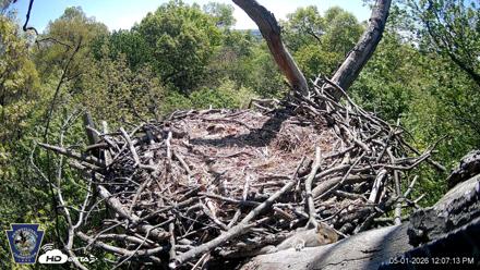 Hanover Eagles Live Cam - May 1, 2026, 12:06pm EDT