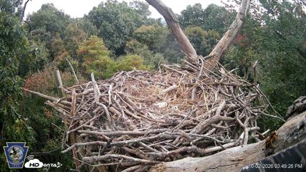 Hanover Eagles Live Cam - Oct 2, 2026, 3:49pm EDT