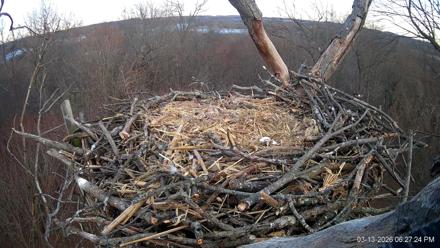 Hanover Eagles Live Cam - Mar 13, 2026, 6:27pm EDT