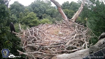Hanover Eagles Live Cam - Jul 29, 2026, 3:27pm EDT