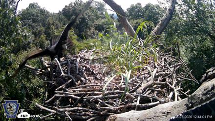 Hanover Eagles Live Cam - Aug 27, 2026, 12:44pm EDT