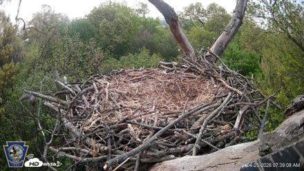 Hanover Eagles Live Cam - Apr 25, 2026, 7:40am EDT