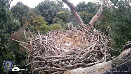 Hanover Eagles Live Cam - Oct 1, 2026, 7:35am EDT